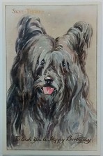 Vintage Postcard of a Skye