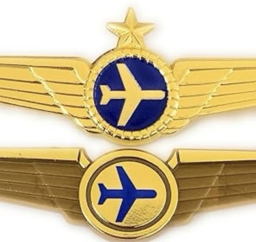 Airlines pilot captains wings - pilot,