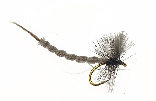 Cdc mayfly flies dry - cdc,
