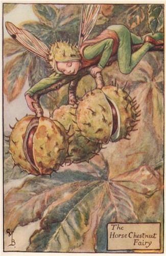 Horse chestnut fairy cicely - fairy, by