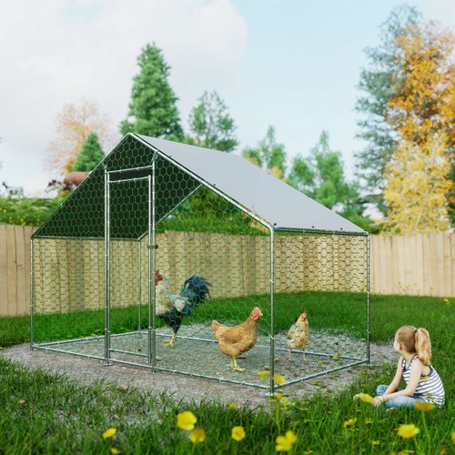 Chicken run cage walk pet - run,