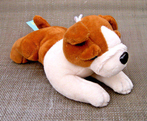 King cuddly english bulldog - cuddly,