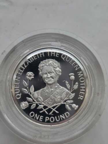 1995 guernsey silver - 1995, £1