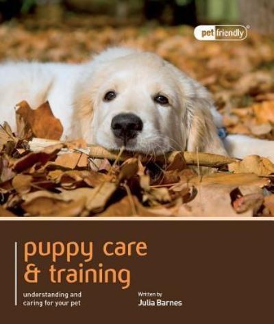 Puppy care training - puppy,