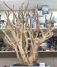 Talawa Wood Aquarium  Reptile Vivarium Terrarium, AQUASCAPING bogwood not mopani