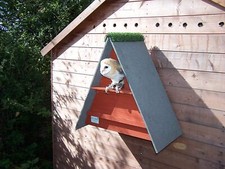 Barn Owl Nest Box