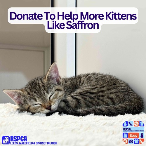 Donate help more - to,