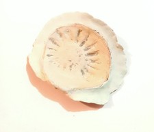 Decorative handmade studio