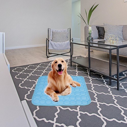 Pet cooling pad - pet, dog