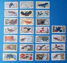 MUSGRAVE TEA (CORK) - TROPICAL BIRDS - FULL SET25