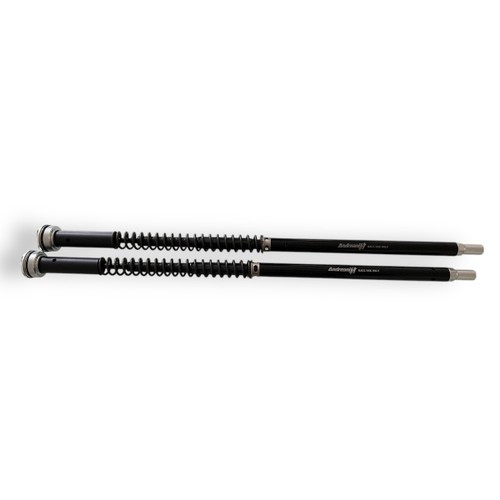 Andreani fork cartridge - cartridge, kit