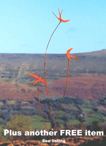 Metal garden birds free item - garden,