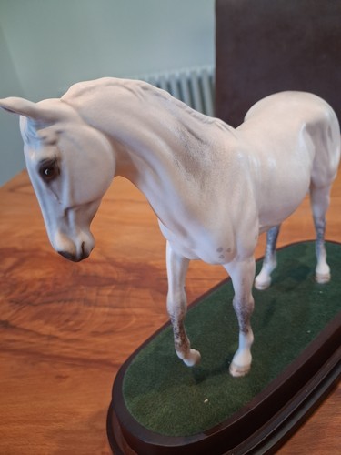 Royal doulton desert - royal,