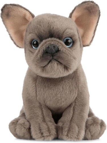 Living nature french bulldog - living,