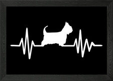 Australian Silky Terrier