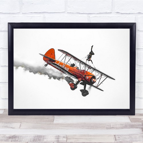 Crazy woman hobbies plane - woman,