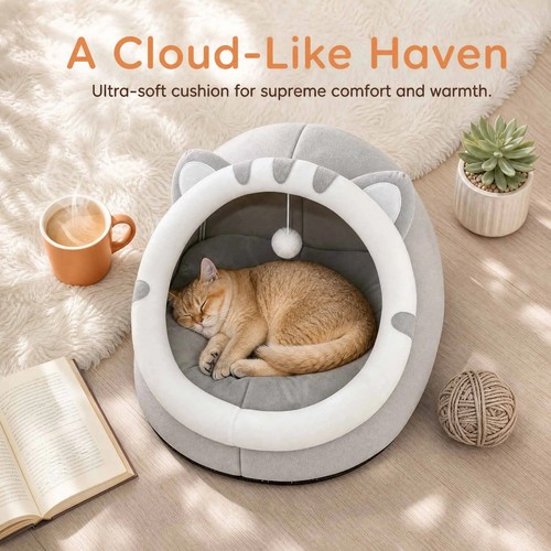 Pet cute cat warm soft - pet,