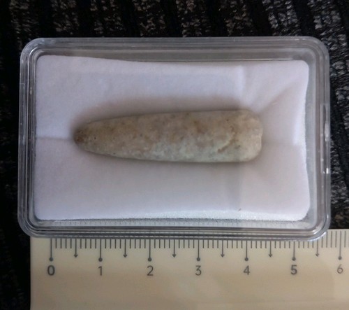 Fossil belemnite jurassic uk - fossil, jurassic,