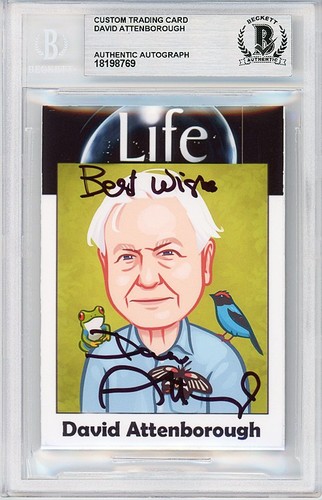 David attenborough beckett - -david,
