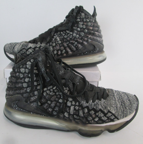 Nike lebron xvii the - 17,