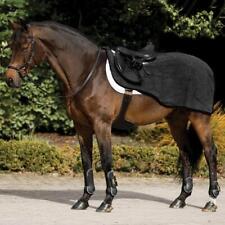 Horse Exercise Sheet -