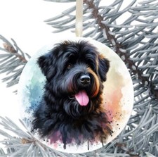 Bouvier Des Flandres Dog