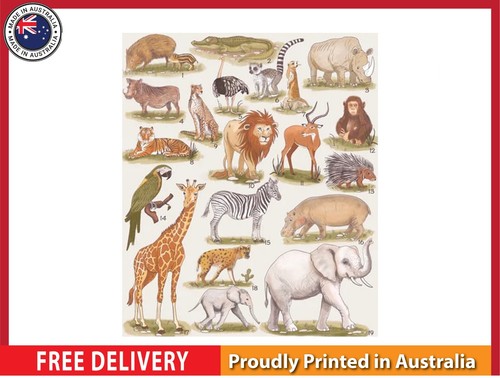 New safari animals - (laminated),