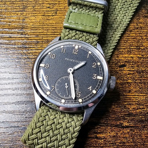 Praesidus patina - dd-45,