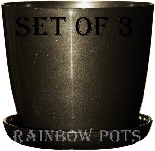 Pot flower colour - pot, gloss