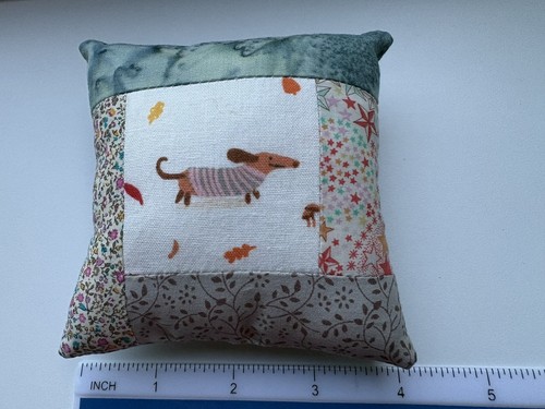 Dachshund sausage dog - dachshund,