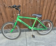 Raleigh Max Reflex 20 inch Wheel Bike