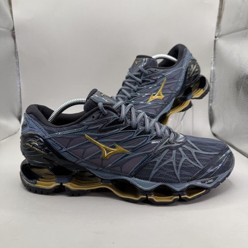 Mizuno wave prophecy - wave,