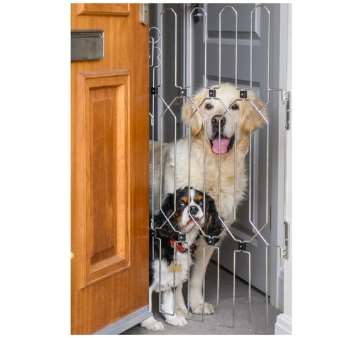 Retractable front door pet - retractable,