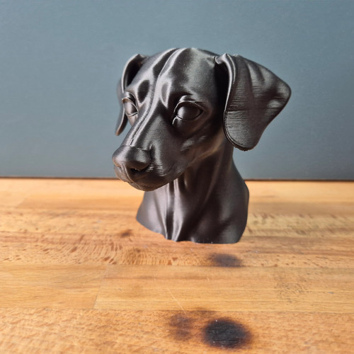 Miniature pinscher bust - miniature,