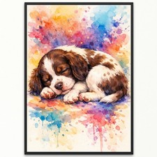Springer Spaniel Dog Wall