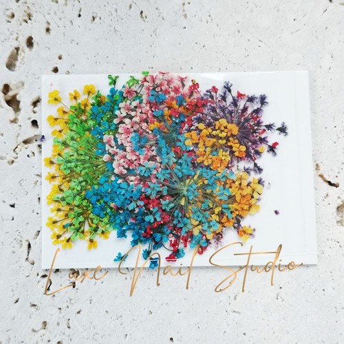 Mixed dried dry - mixed,