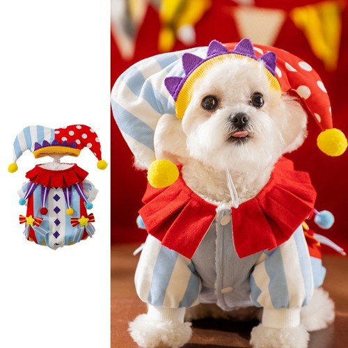 Dog jackets clown - clown, outfit