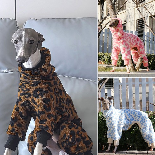 Leopard print high - leopard,