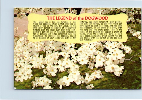 Legend dogwood tree c1960s - legend,