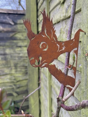 Rusty metal red - red, squirrel