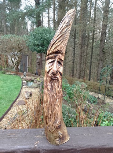 Wood tree spirit - tree,