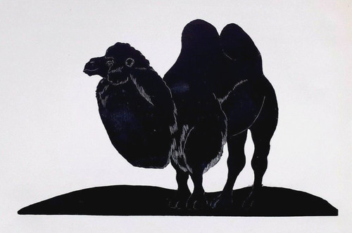 Daglish bactrian camel - daglish,