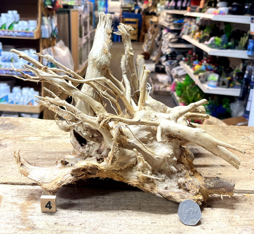Med large shinrin - shinrin, wood