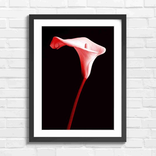 Minimalist white calla - white,