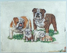 Stunning Marcia Van Woert