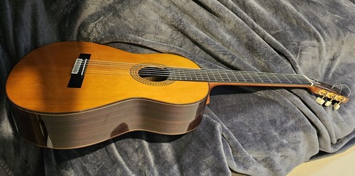 Classical guitar yamaha gc22c - yamaha,
