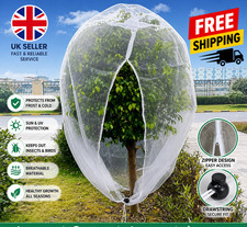 Garden Plant Tree Fruit Cover
