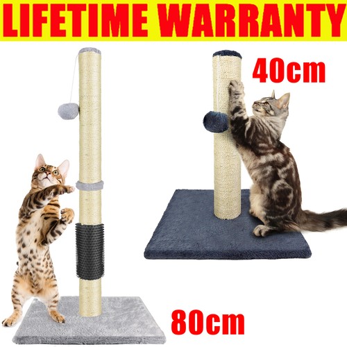 80cm tall large cat - 40/80cm,