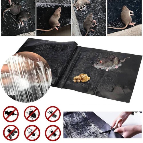 Large size mousetraps rat mice - large,