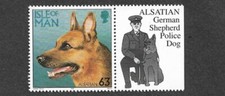 DOGS ALSATION DOG GERMAN